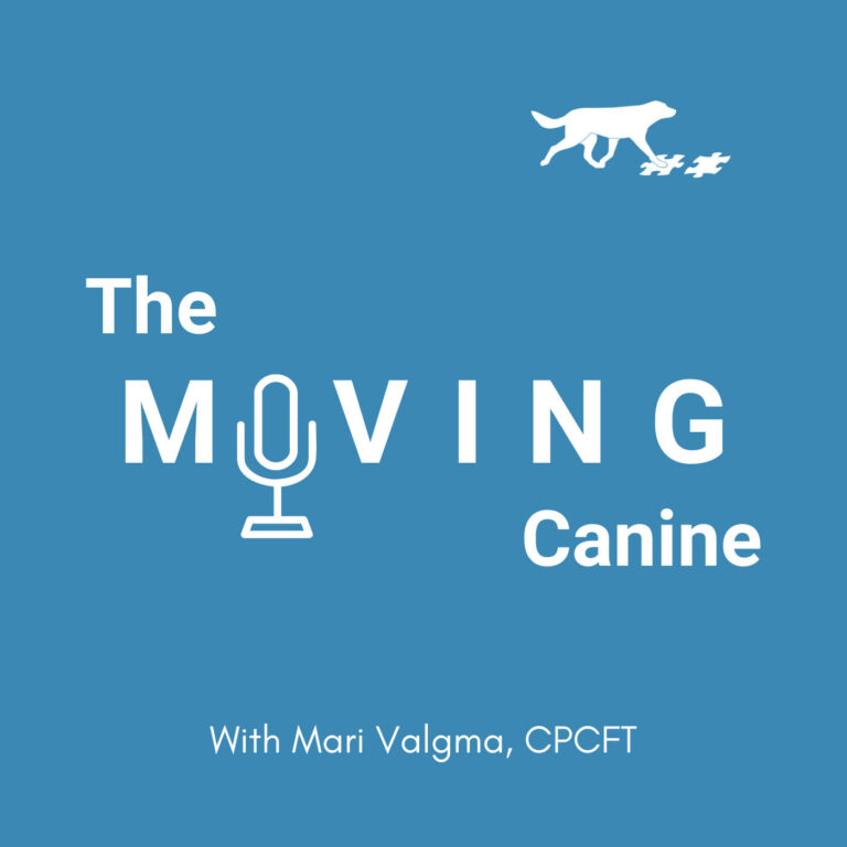 #24 What it REALLY means to work on your dog's body awareness and coordination skills?